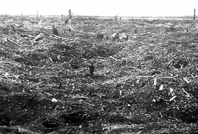 Bullecourt 1917