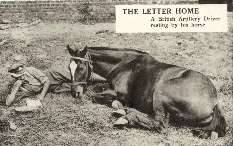 'The Letter Home'