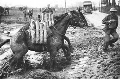 WW1 horse transport
