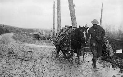 WW1 horse transport