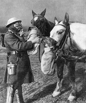 WW1 horses with gas masks