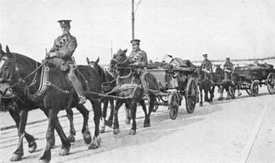 WW1 horse Transport