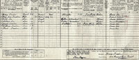 1911 census 