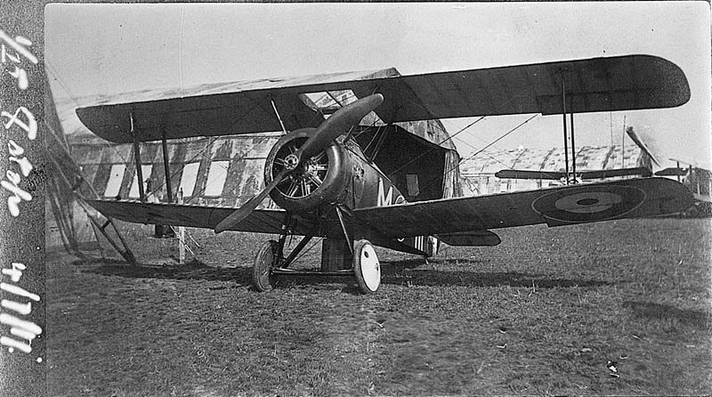 WW1- Postcards & Photographs Gallery