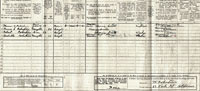 1911 census