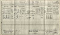 1911 census return for