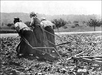 "Peasants in re-taken Somme - after Germans left."
