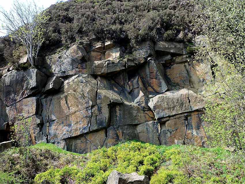 Moorgate Quarry