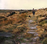 Packhorse track