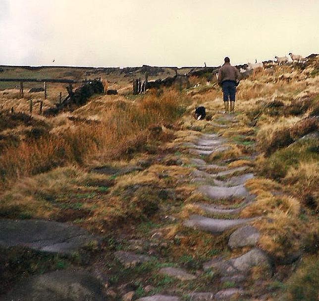 Packhorse Track