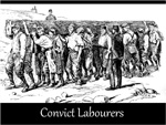 convict labourers
