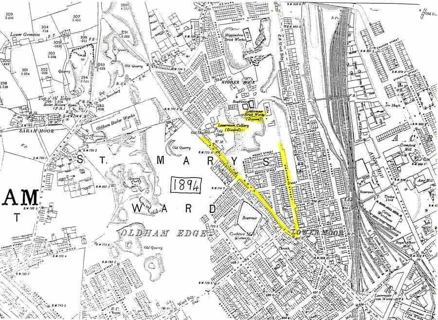 1894 Map showing area of proposed location of Fossil forest