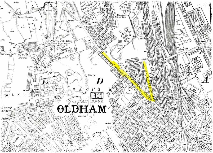 1909 Map showing proposed location of Fossil forest