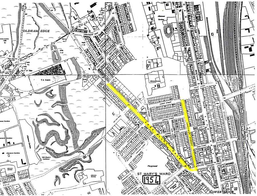 1954 Map showing proposed location of Fossil forest