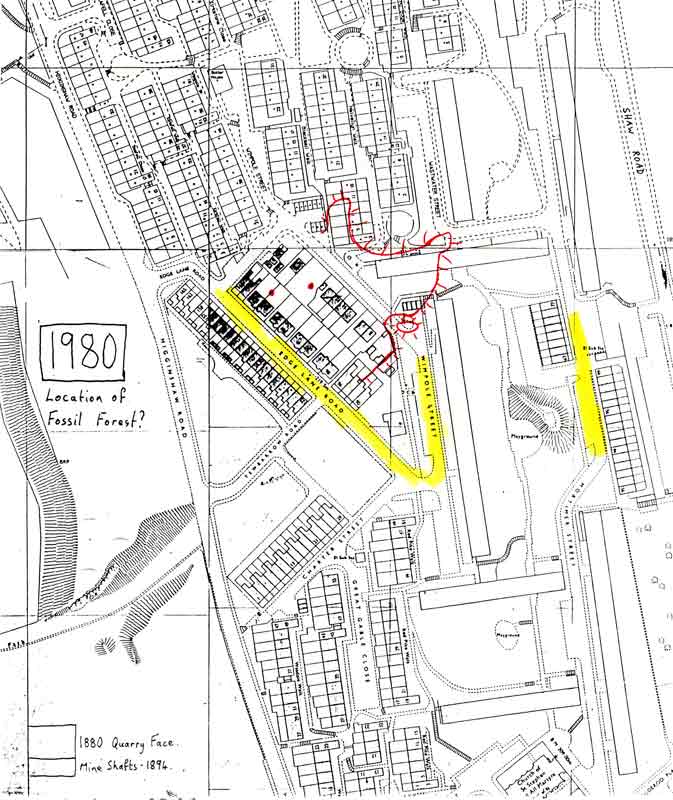 1980 Map showing proposed location of Fossil forest