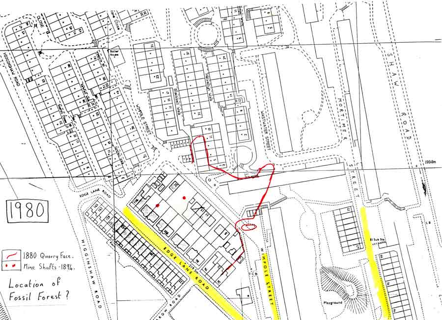 1980 Map showing proposed location of Fossil forest