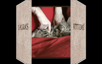 'Cats!' AV sequence - image4
